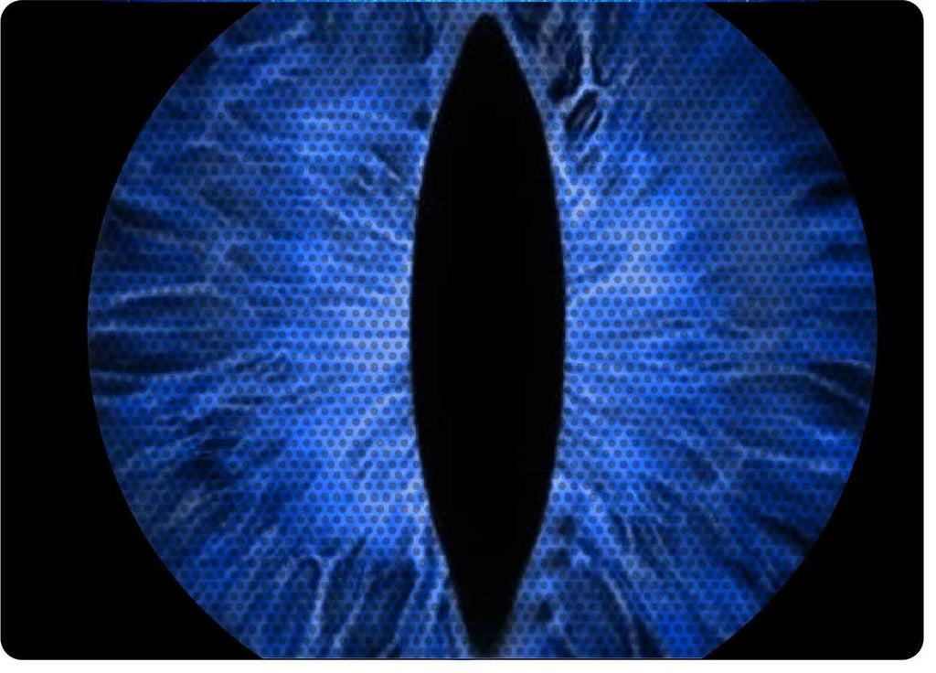 blue cat  Eye decals for YJ or 5x7 headlights