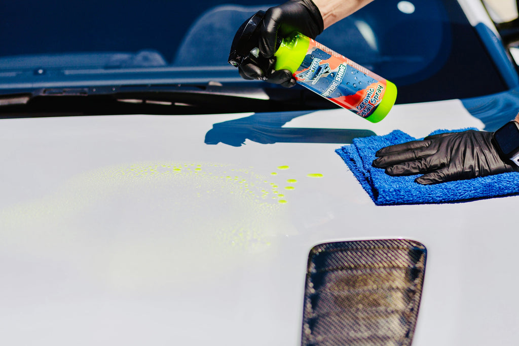 Riptide Ceramic Detail Spray, Shine and Protection for Vehicle Paint (16 Fl oz)