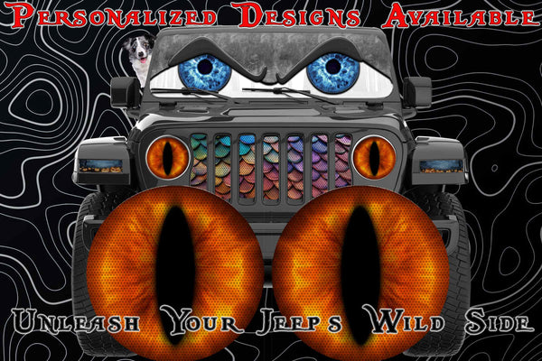 orange cat eyes for the headlight decals