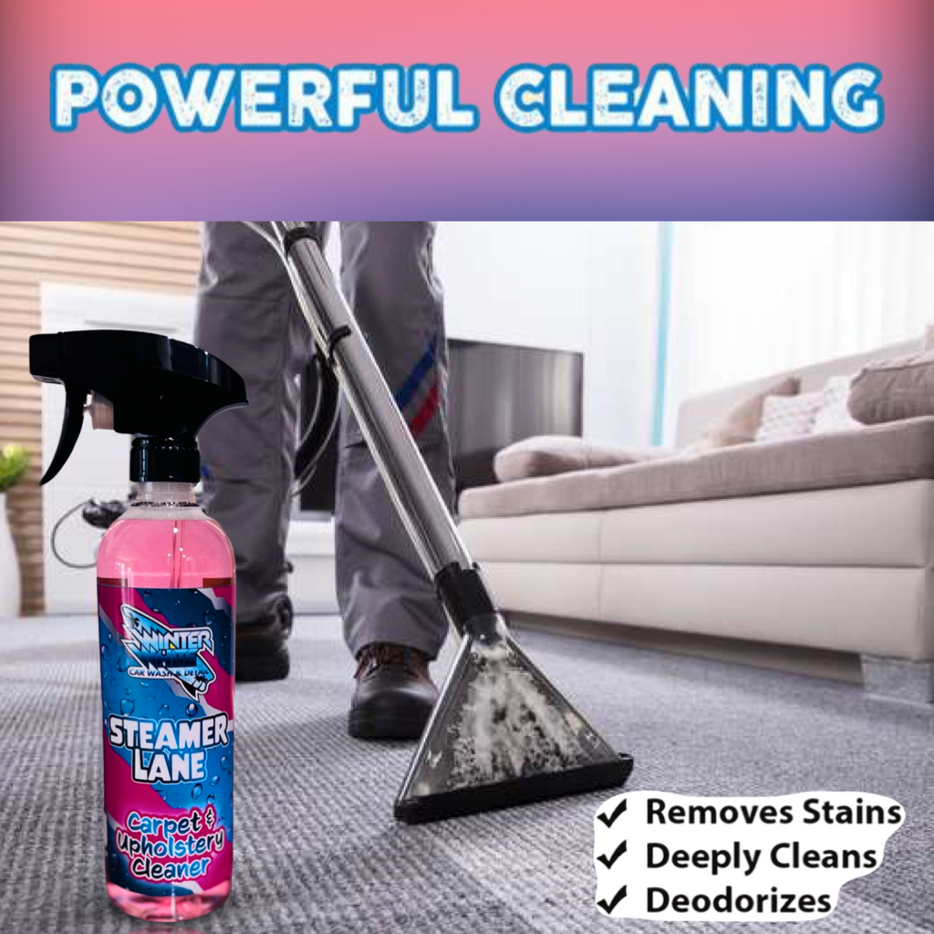 Steamer Lane Carpet & Upholstery Cleaner (16 Fl oz)