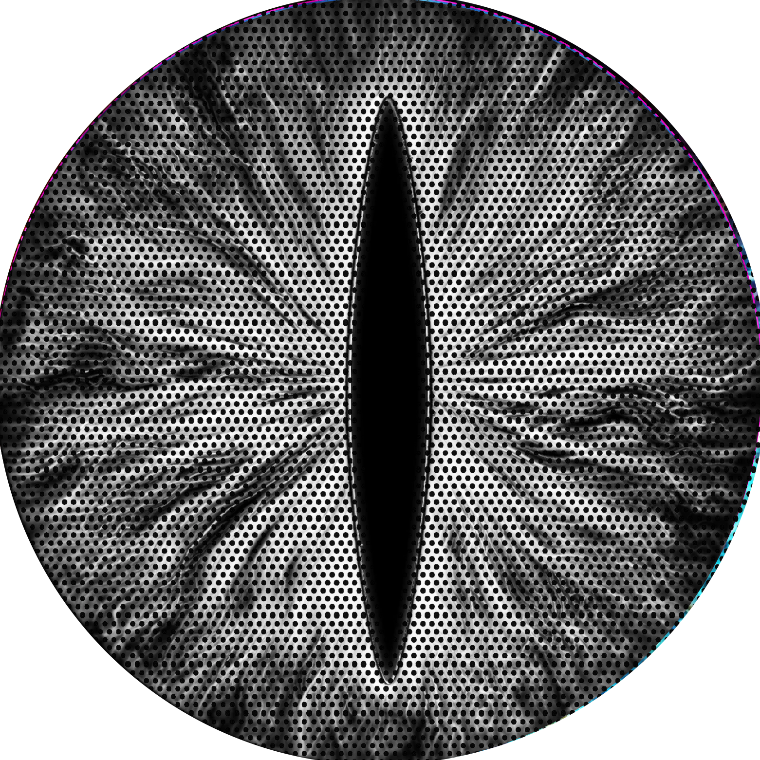 Black and white round cat eye decal