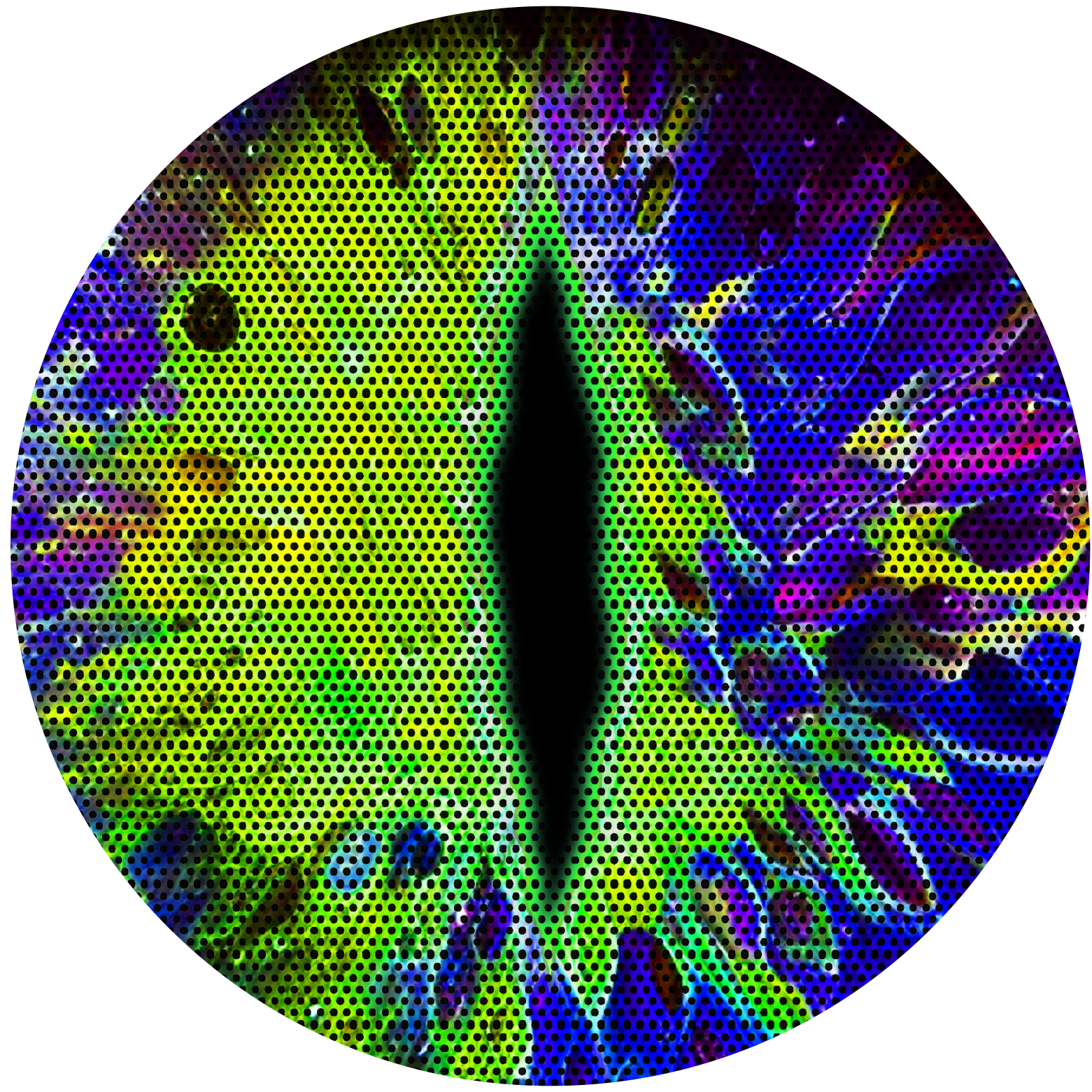 Green blue moon cat eye for the headlight