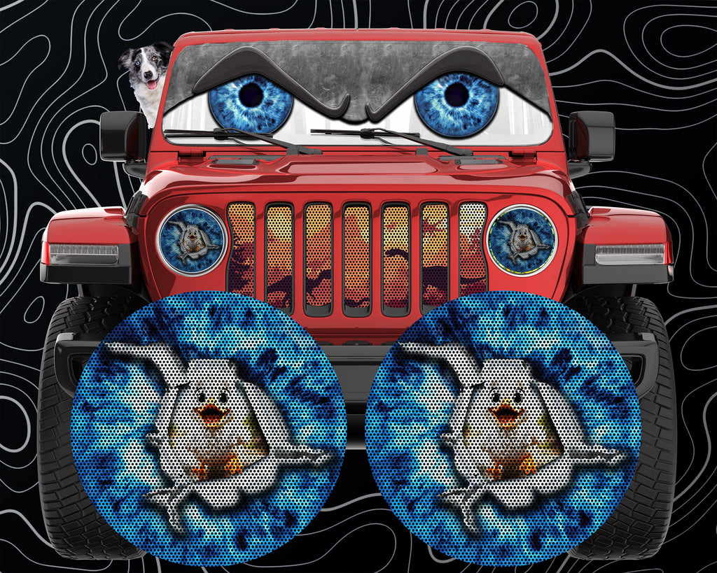 Duck eye round headlight decals