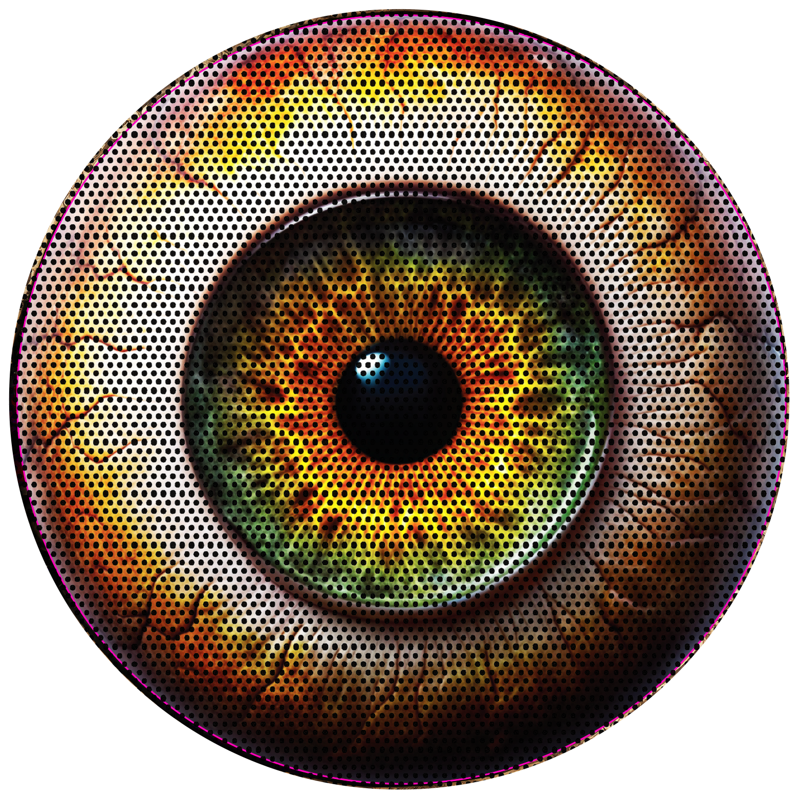 Real eye headlight decal